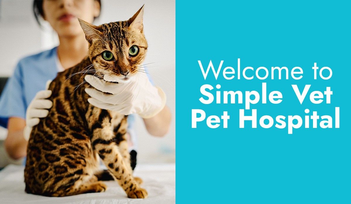 welcome-to-simple-vet-pet-hospital
