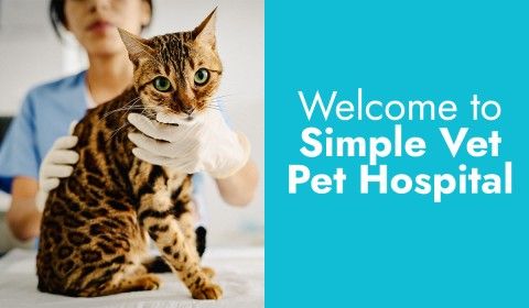 Welcome to SimpleVet Pet Hospital