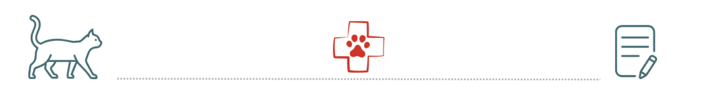 emergency vet care supported by pet insurance SimpleVet Pet Hospital Little Elm TX