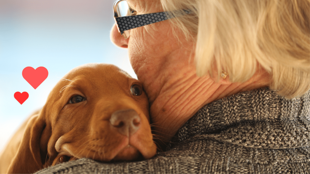 New puppy bonding closely with an owner during the first weeks of pet ownership in Little Elm, TX